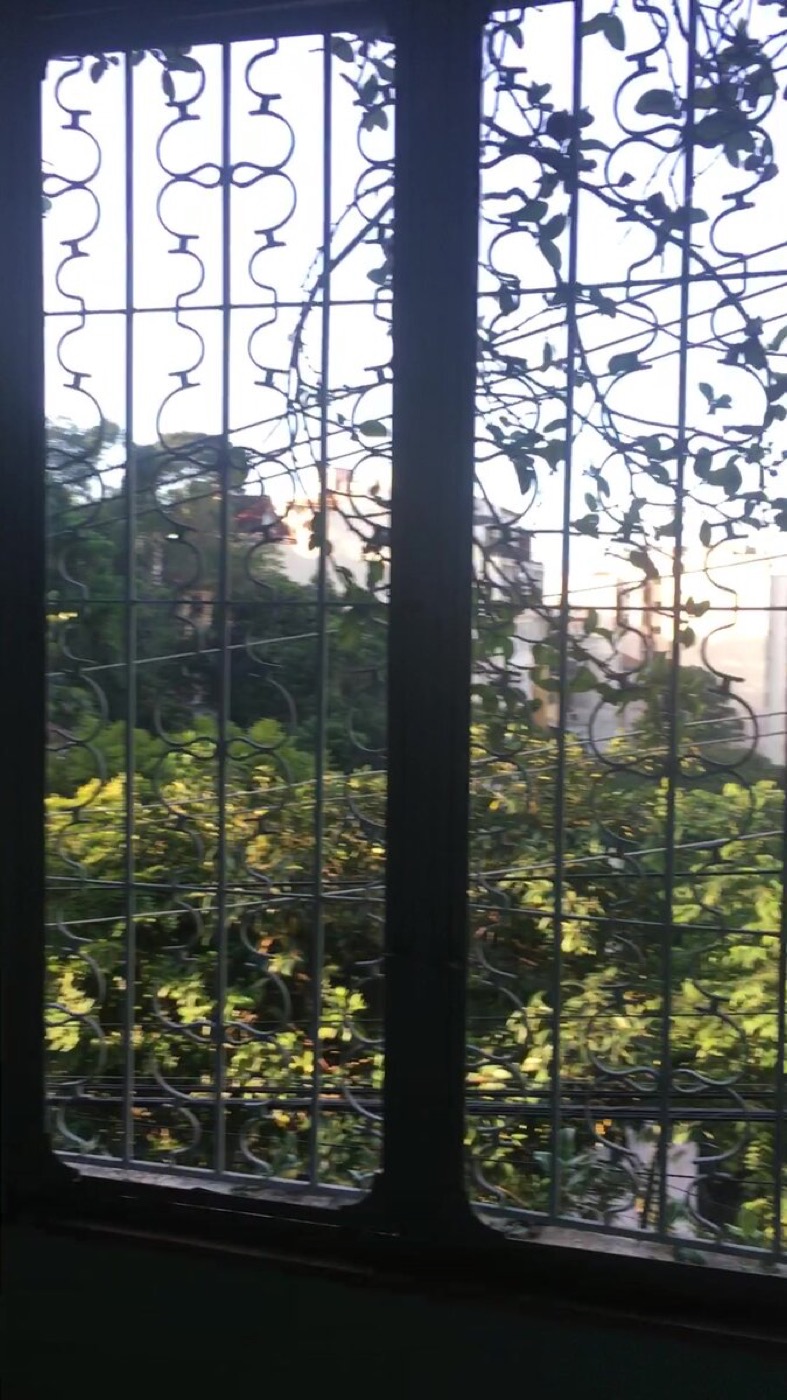 Ornate wrought-iron window screen with garden greenery