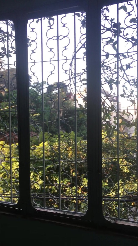 Garden view through the wrought-iron screen