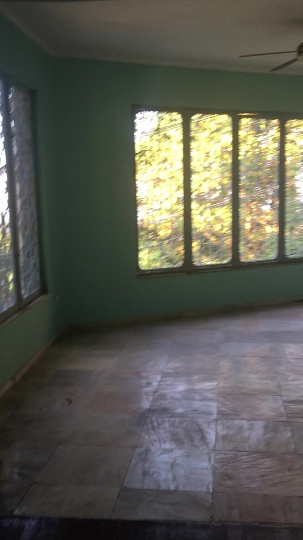 Room painted mint green with tall garden-facing windows