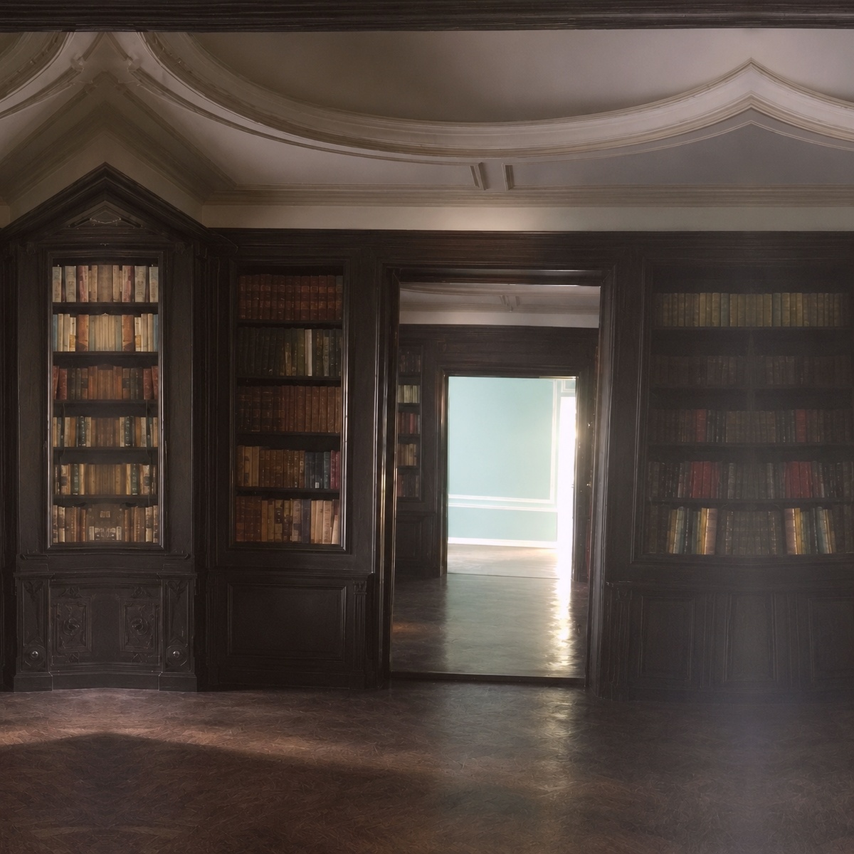 Wood-paneled library room with built-in bookshelves, empty floor, no bed